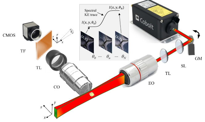 Raman light sheet microscopy