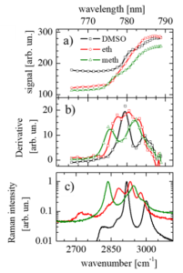 Raman light sheet microscopy