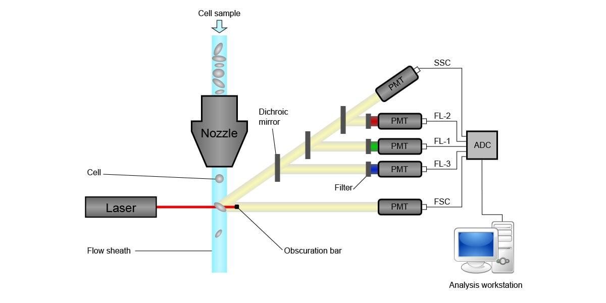 flow cytometry