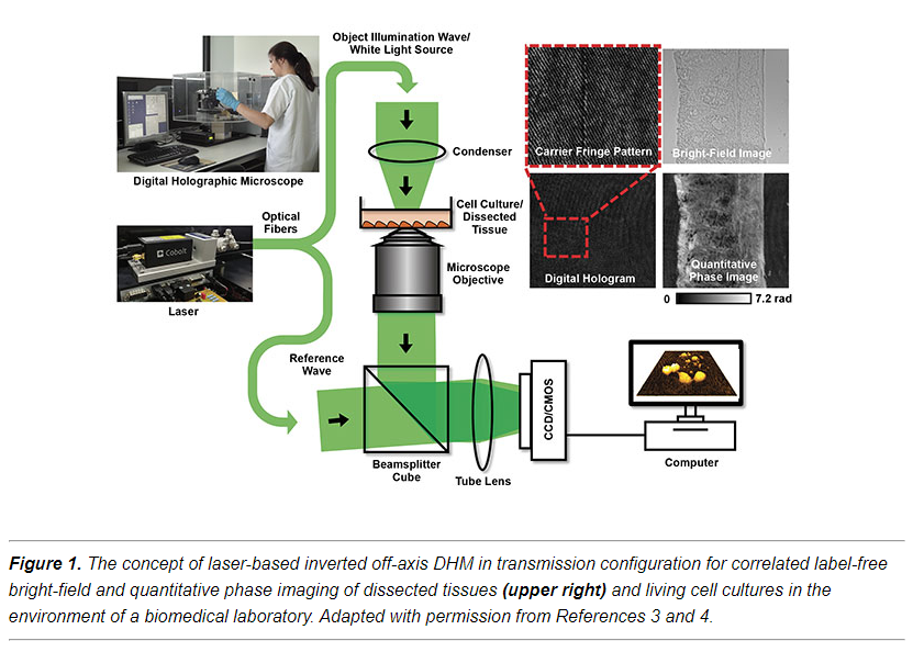 Digital holographic microscopy europhotonics setup