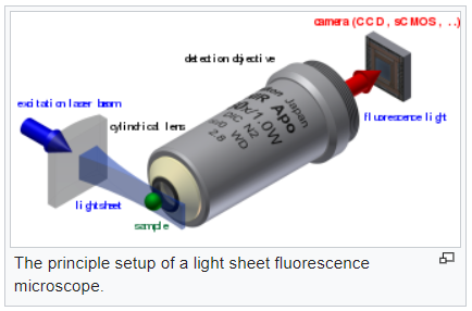 Light sheet microscopy set up