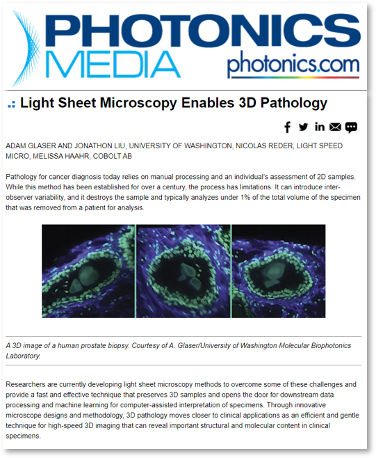 Light sheet enables 3D pathology